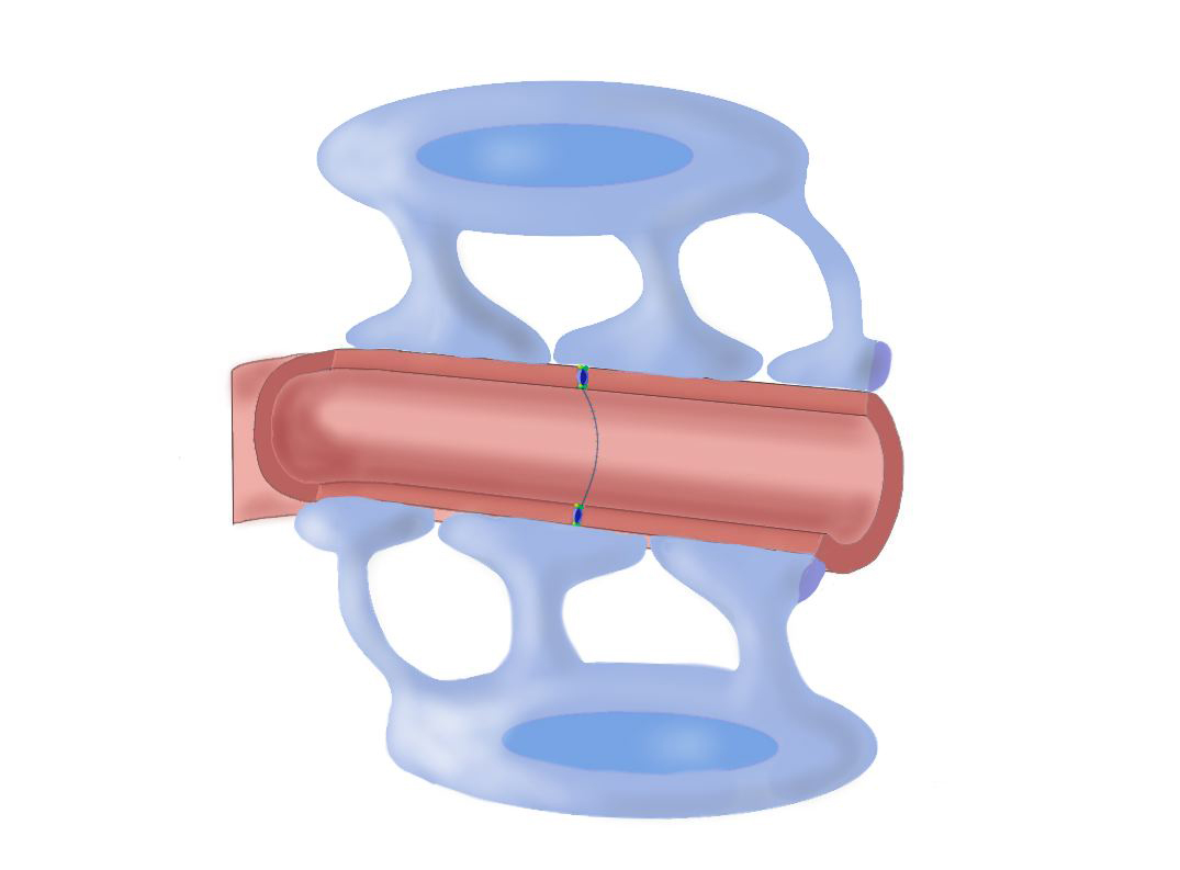 Blood-brain barrier